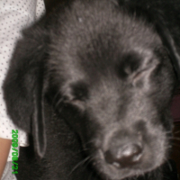 Photo #205436 de Emyl