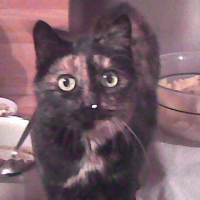 Photo #205501 de Lilli