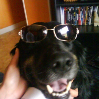 Photo #205511 de Black