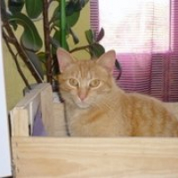 Photo #205519 de Caramel