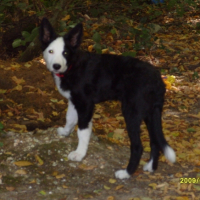 Photo #205553 de Luky