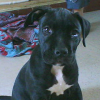 Photo #205569 de Erko