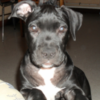 Photo #205577 de Erko