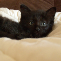 Photo #205590 de Mimi