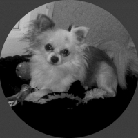 Photo #205592 de Doddy