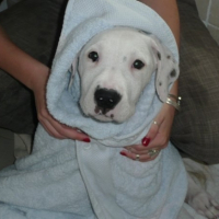 Photo #205729 de Eydan