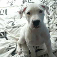 Photo #205732 de Eydan