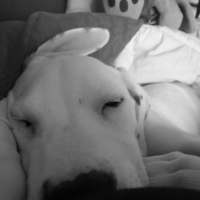 Photo #205738 de Eydan