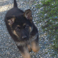 Photo #205745 de Tag