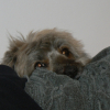 Fatigué