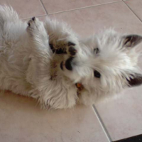 Photo #205784 de Catsumi