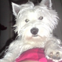 Photo #205785 de Catsumi