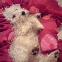 Photo #205796 de Catsumi