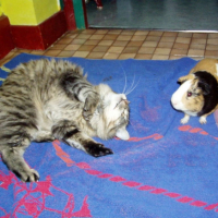 Photo #205802 de Kheops