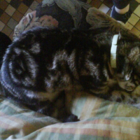 Photo #205858 de Mounette