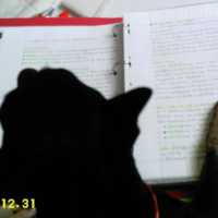 Photo #205864 de Junior