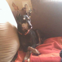 Photo #205865 de Junior