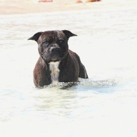 Photo #205983 de Ody