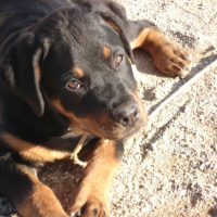 Photo #206027 de Tina1