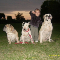 Photo #206050 de Altesse attika