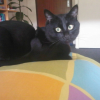Photo #206082 de Cokin