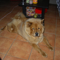 chamalow