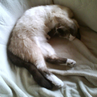 Photo #206371 de Naty
