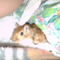dans ma robe de chambre!