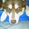 Conan_1