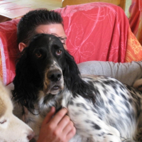 Photo #206401 de Beengy