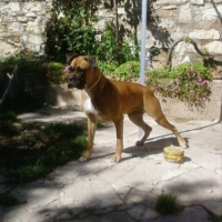 Photo #206410 de Lola
