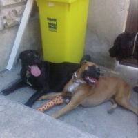 Photo #206414 de Lola