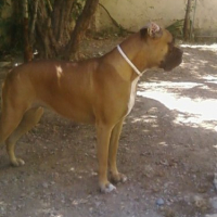 Photo #206416 de Lola