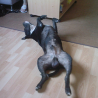 Photo #206422 de Ulysse