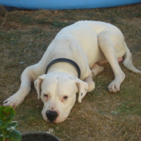 Photo #206510 de Ulrich