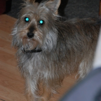 Photo #206521 de Tony