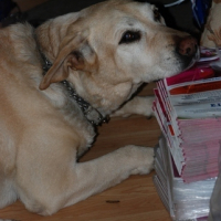 Photo #206527 de Tony