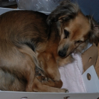 Photo #206529 de Tony