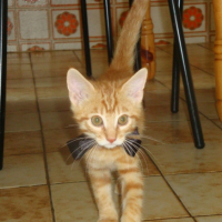 Photo #206564 de Grizly