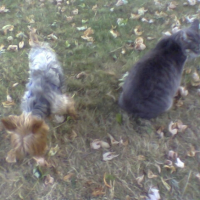 Photo #206652 de Rocky