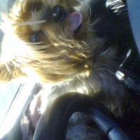 Photo #206653 de Rocky