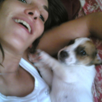 Photo #206688 de Apollo