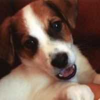 Photo #206693 de Apollo