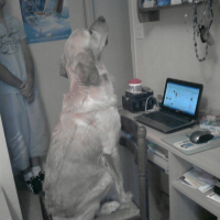 Photo #206716 de Zephyr