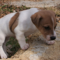 Photo #206718 de César