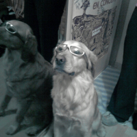 Photo #206719 de Zephyr