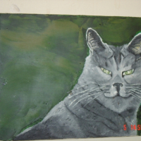 Photo #206757 de Lucky