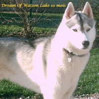 Photo #206762 de Dream of watson lake