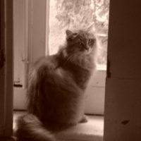 Photo #206764 de Voyoue