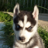 1 mois et demi